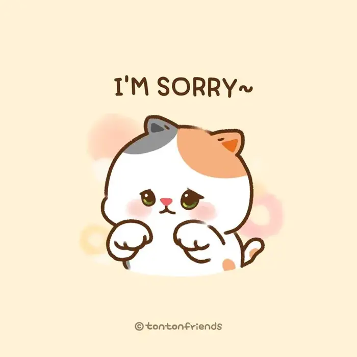 Story » 40+ Meme Mèo Xin Lỗi cute hài hước với sự chân thành xin được tha  thứ