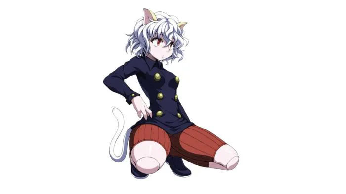 Neferpitou（A character in the Japanese manga *Hunter × Hunter*.）_Baiduwiki
