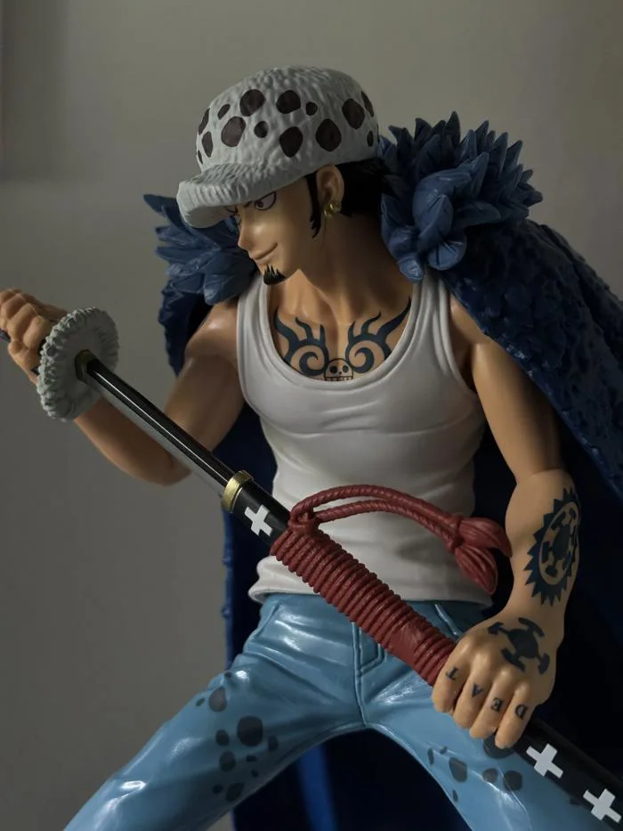 Trafalgar D. Water Law | Figuya