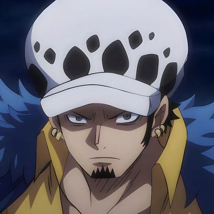 Trafalgar D. Water Law | Law in one piece, Law anime, Law side profile