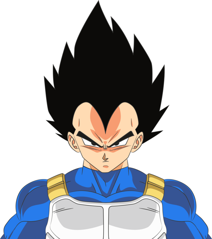 Vegeta Saiyan Prince Ready for Battle No Background Image 67065576 PNG