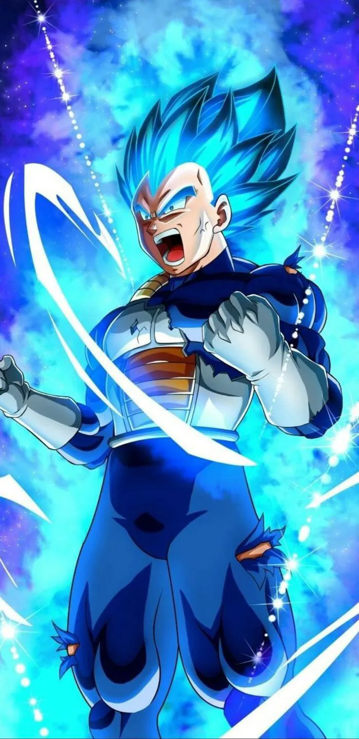 Vegeta ssj Blue