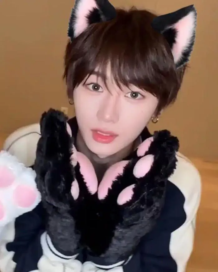 Ảnh Anshin dễ thương trong trang phục mèo cosplay - quạt cộng Cộng đồng