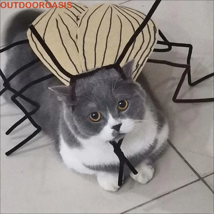 OUTDOROASIS Mèo Cosplay Gián Trang Phục, Bộ Chất Liệu Quần Áo Thú Cưng Dễ  Thương Sáng Tạo, Cosplay Chống Đỡ Hoạt Hình Vui Nhộn Với Cánh Gián Trang  Phục Biến Hình Mèo