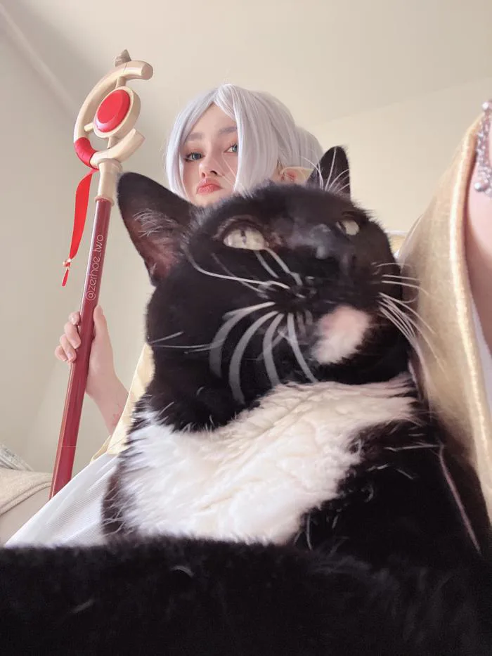 Thêm ảnh cosplay Frieren của mình và mèo🌿🐈‍⬛ : r/Frieren