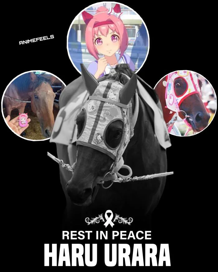 Anime Feels on X: 