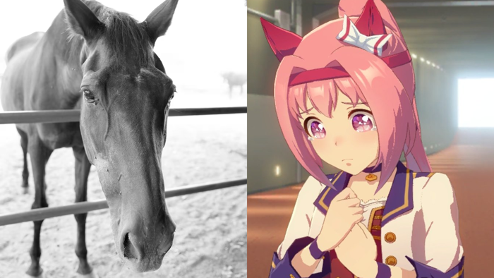 Haru Urara, the Racehorse Who Inspired Uma Musume Character, Passes Away at  29 - Anime Corner