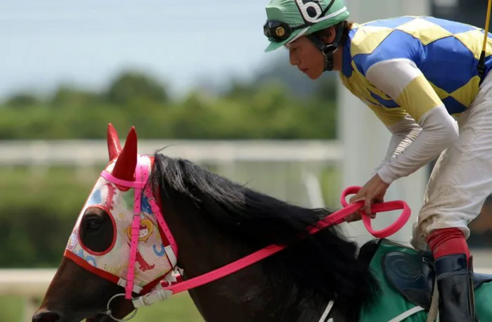 Japan mourns loveable loser racehorse Haru-urara, who lost in all 113  appearances | HK Racing | South China Morning Post