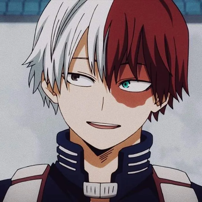 Shoto Todoroki Shoto Todoroki