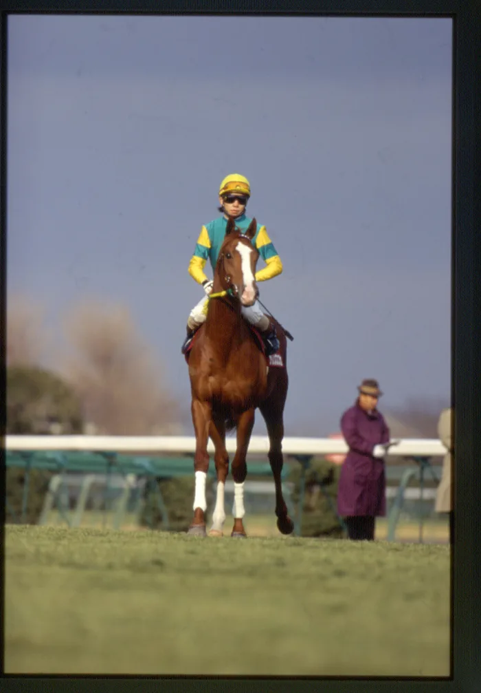 Silence Suzuka: The Brilliant Front-Runner Who Burned Too Brightly | Horse  Racing Library - netkeiba